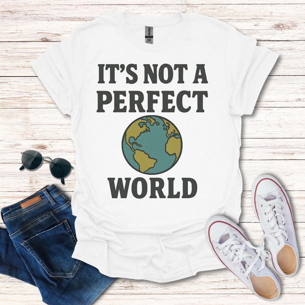 It's Not A Perfect World