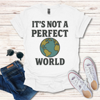 It's Not A Perfect World