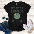It's Not A Perfect World