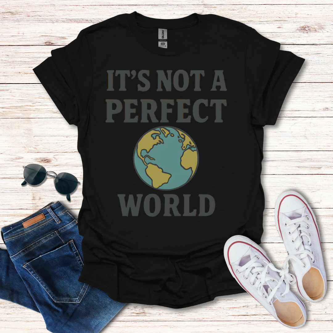 It's Not A Perfect World