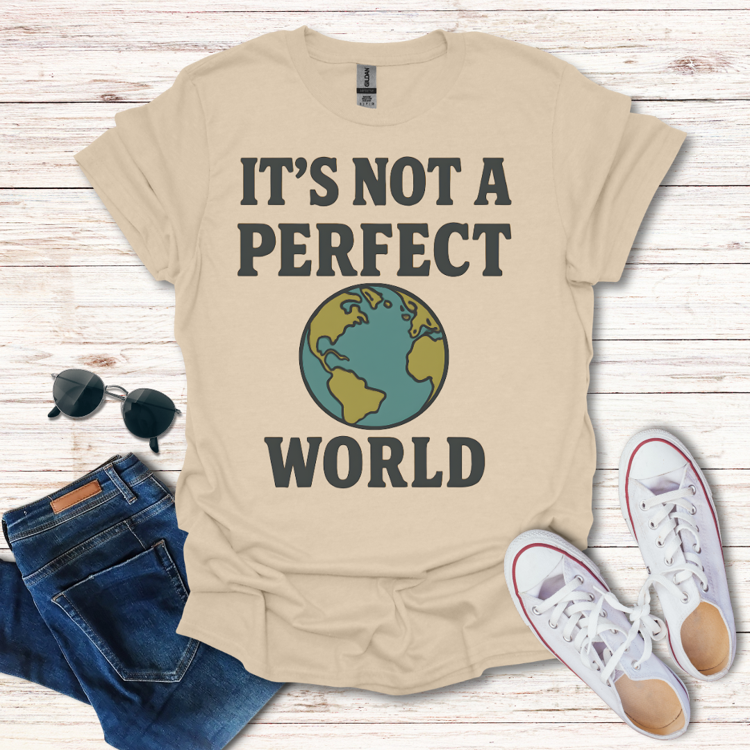 It's Not A Perfect World