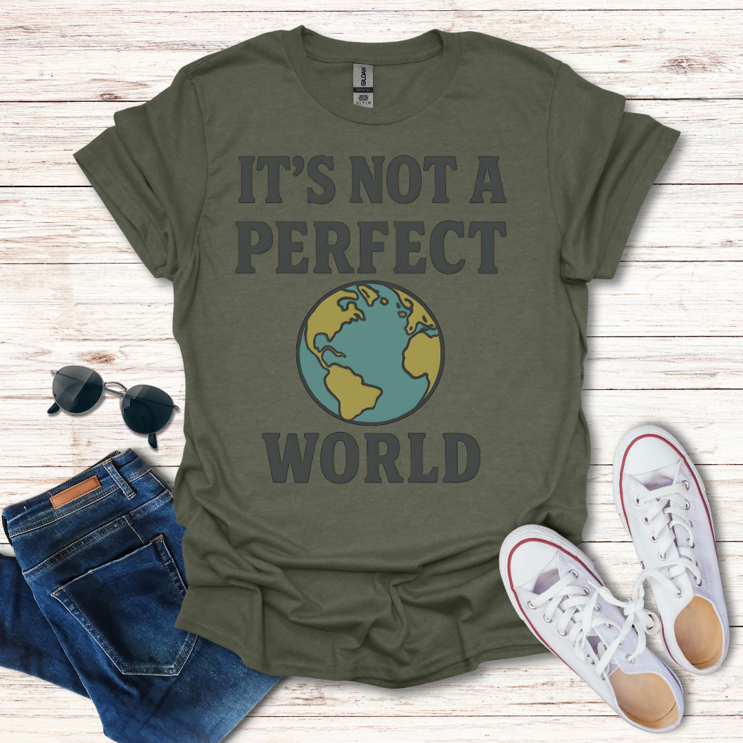It's Not A Perfect World