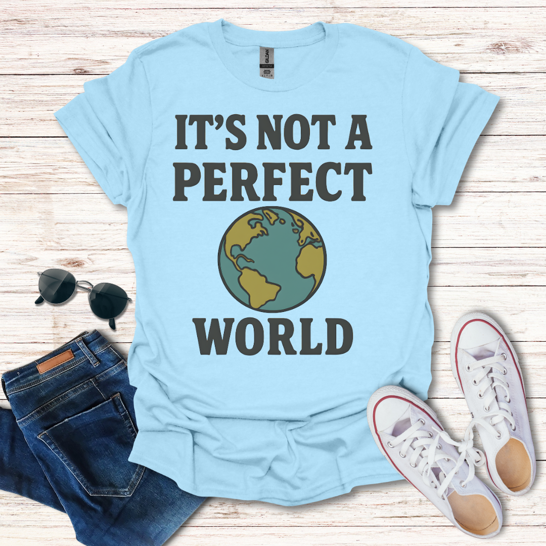 It's Not A Perfect World