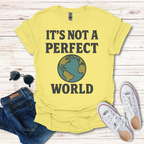 It's Not A Perfect World