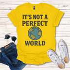 It's Not A Perfect World