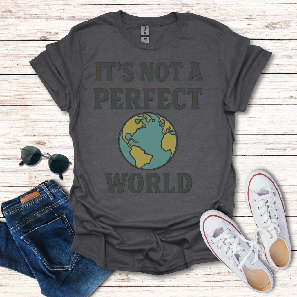 It's Not A Perfect World