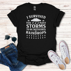 I Survived Storms image