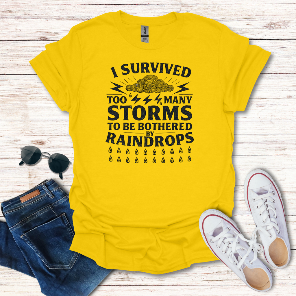 I Survived Storms image