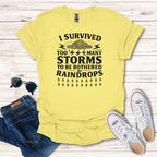 I Survived Storms image
