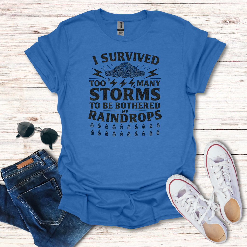I Survived Storms image