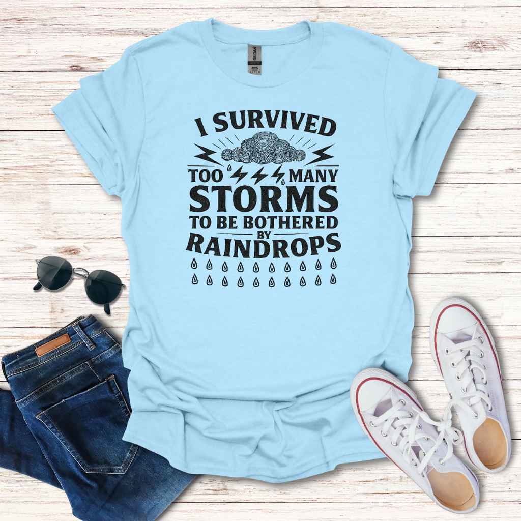 I Survived Storms image