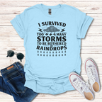 I Survived Storms image