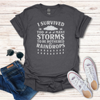 I Survived Storms image