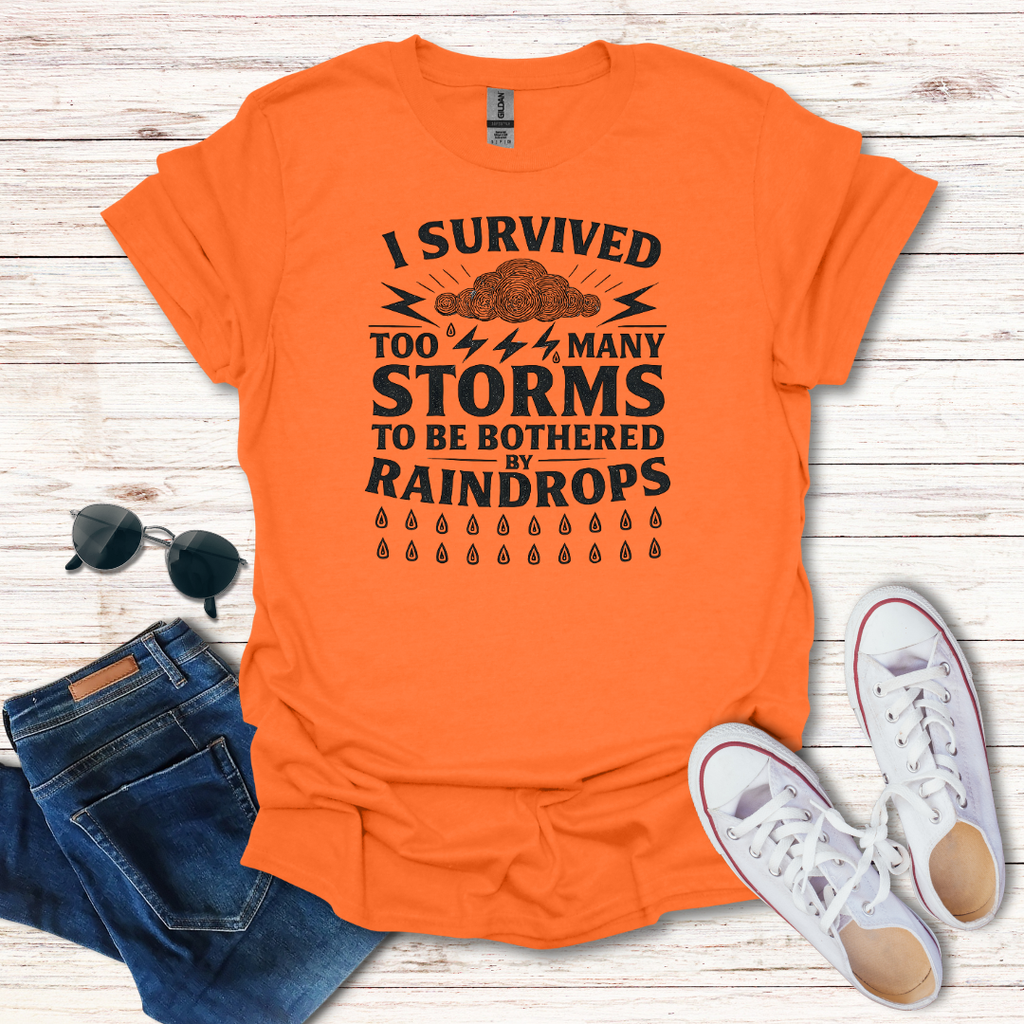 I Survived Storms image